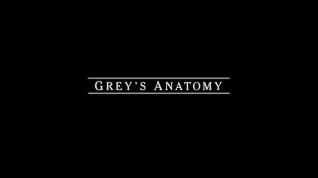 Grey's Anatomy season finale (3)